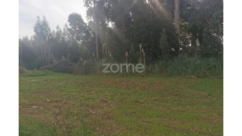 Terreno para Venda em Pedroso e Seixezelo