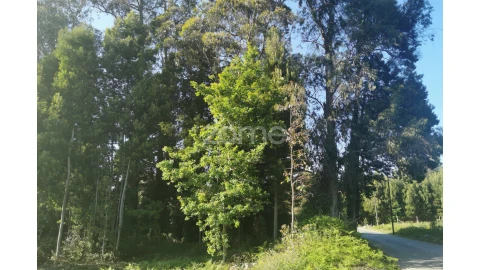 Terreno para Venda em Pedroso e Seixezelo
