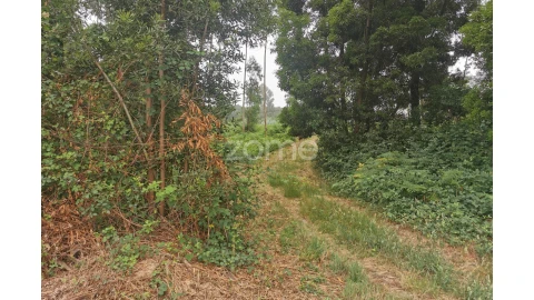 Terreno para Venda em Pedroso e Seixezelo