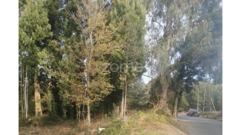 Terreno para Venda em Pedroso e Seixezelo