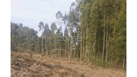 Terreno para Venda em Pedroso e Seixezelo
