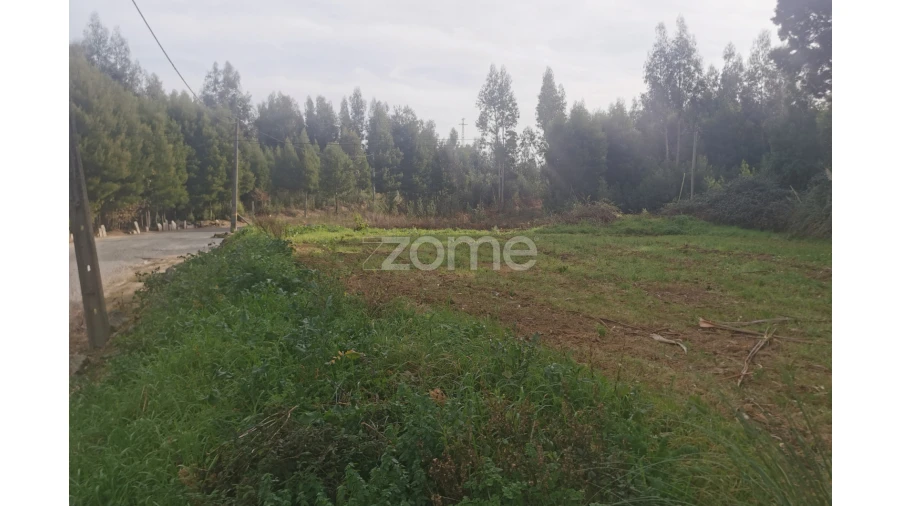 Terreno para Venda em Pedroso e Seixezelo Foto 19