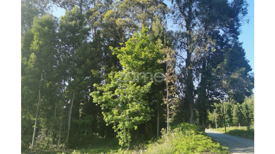 Terreno para Venda em Pedroso e Seixezelo Foto 14