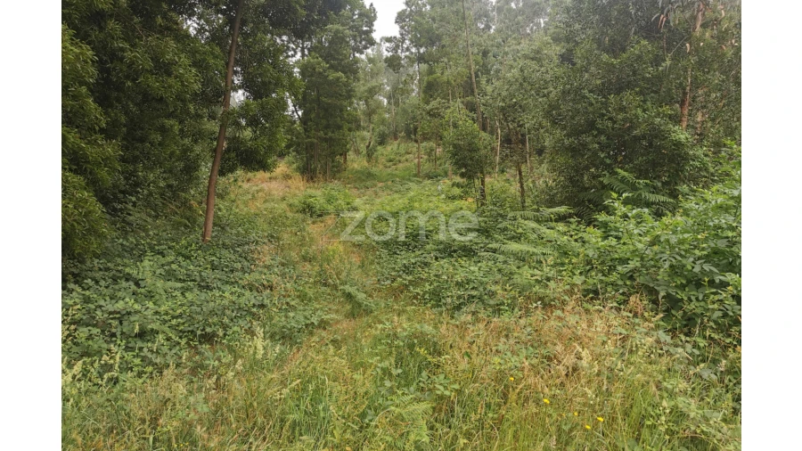 Terreno para Venda em Pedroso e Seixezelo Foto 33