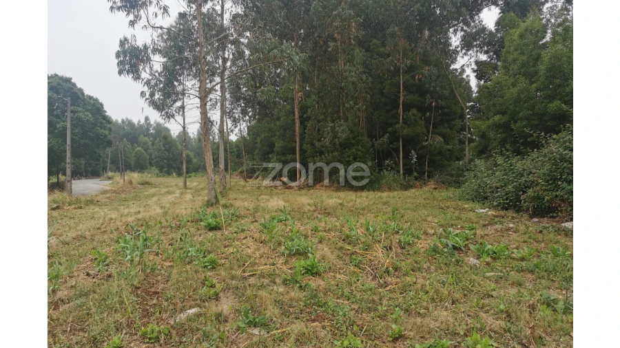 Terreno para Venda em Pedroso e Seixezelo Foto 31