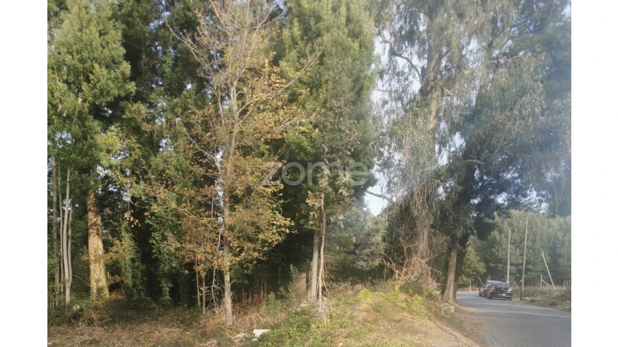 Terreno para Venda em Pedroso e Seixezelo Foto 13