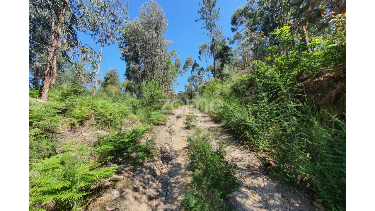 Terreno para Venda em Airo Foto 4