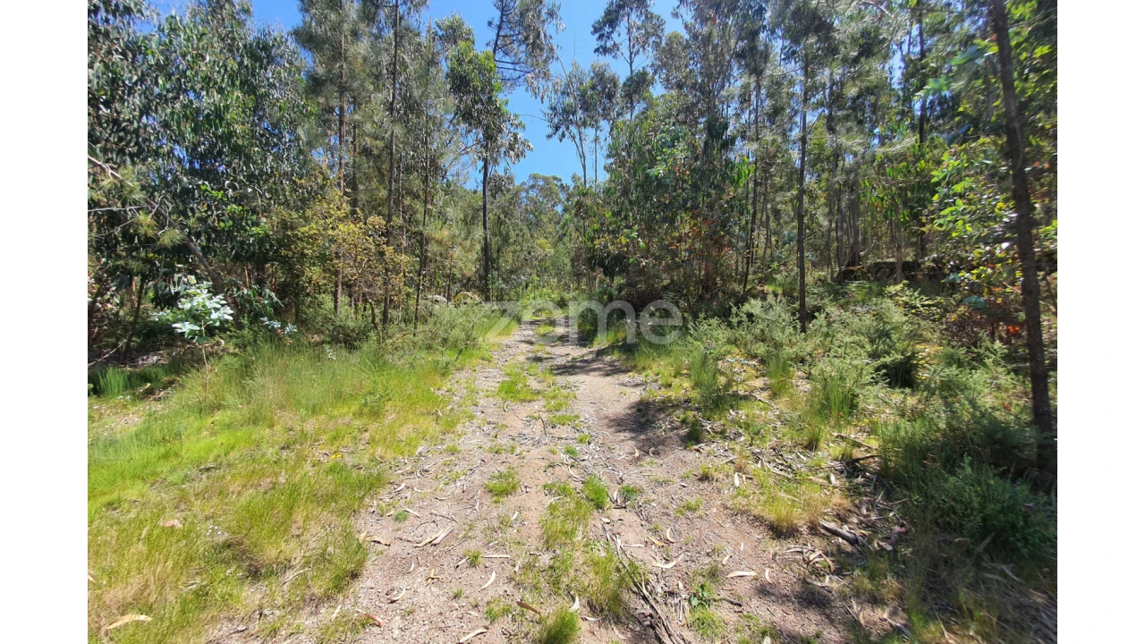Terreno para Venda em Airo Foto 11