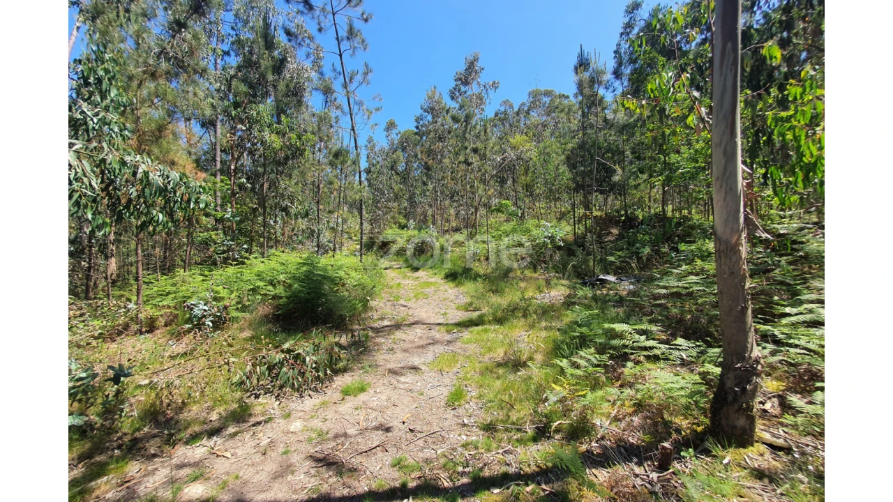 Terreno para Venda em Airo Foto 14
