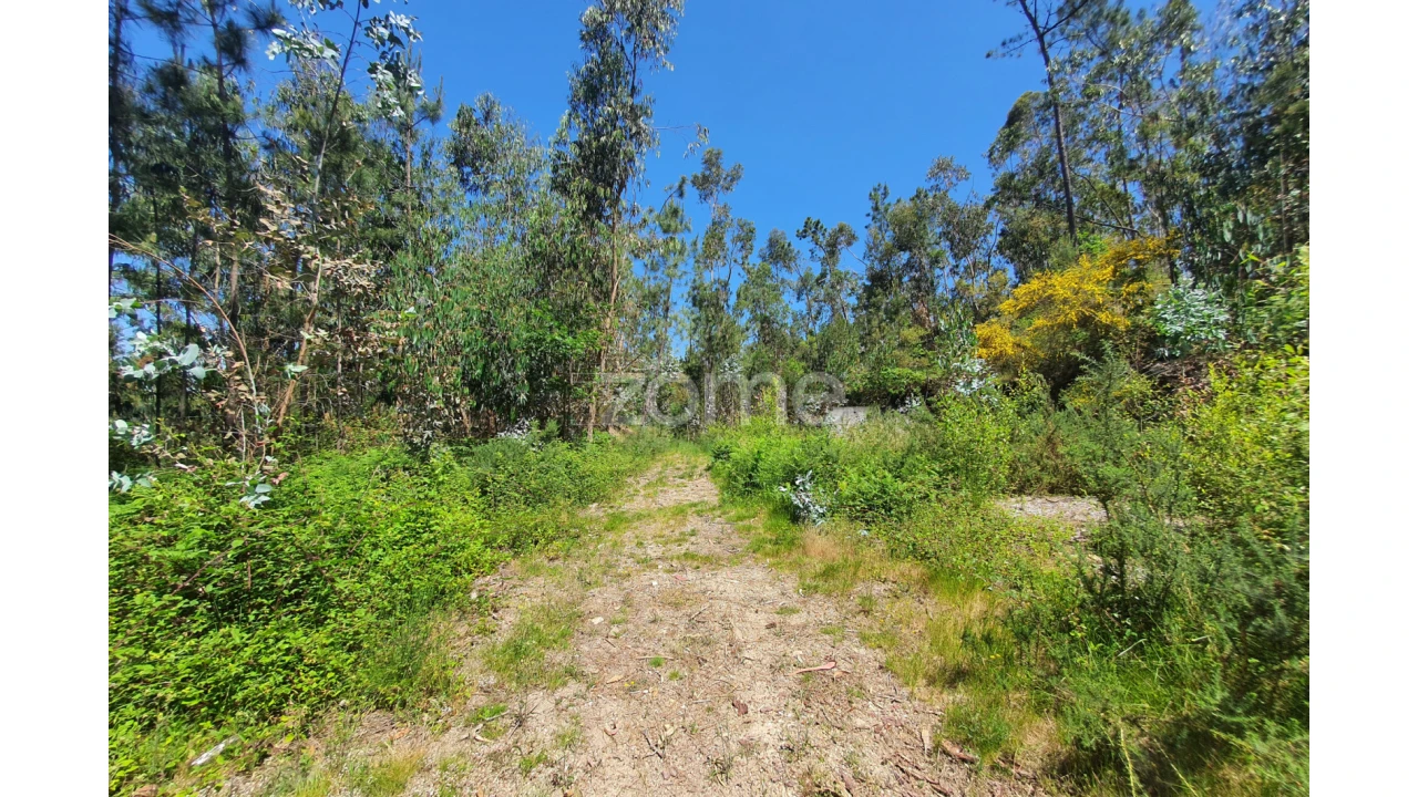 Terreno para Venda em Airo Foto 15