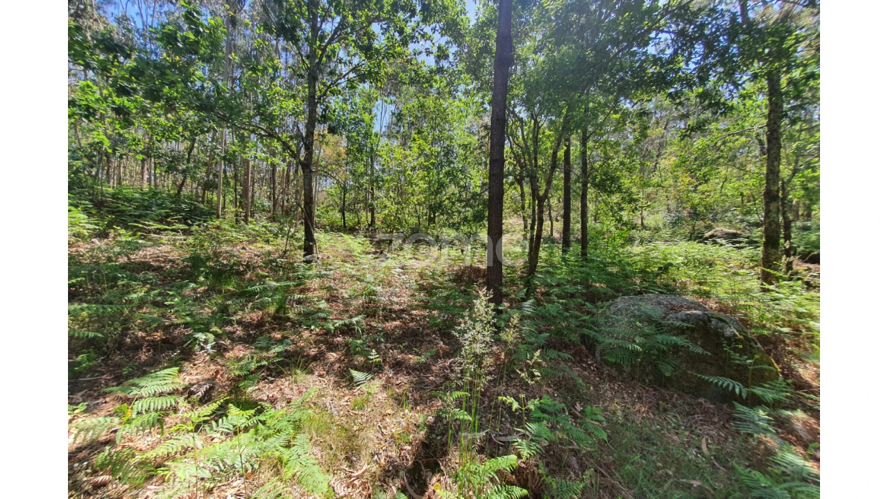 Terreno para Venda em Airo Foto 16
