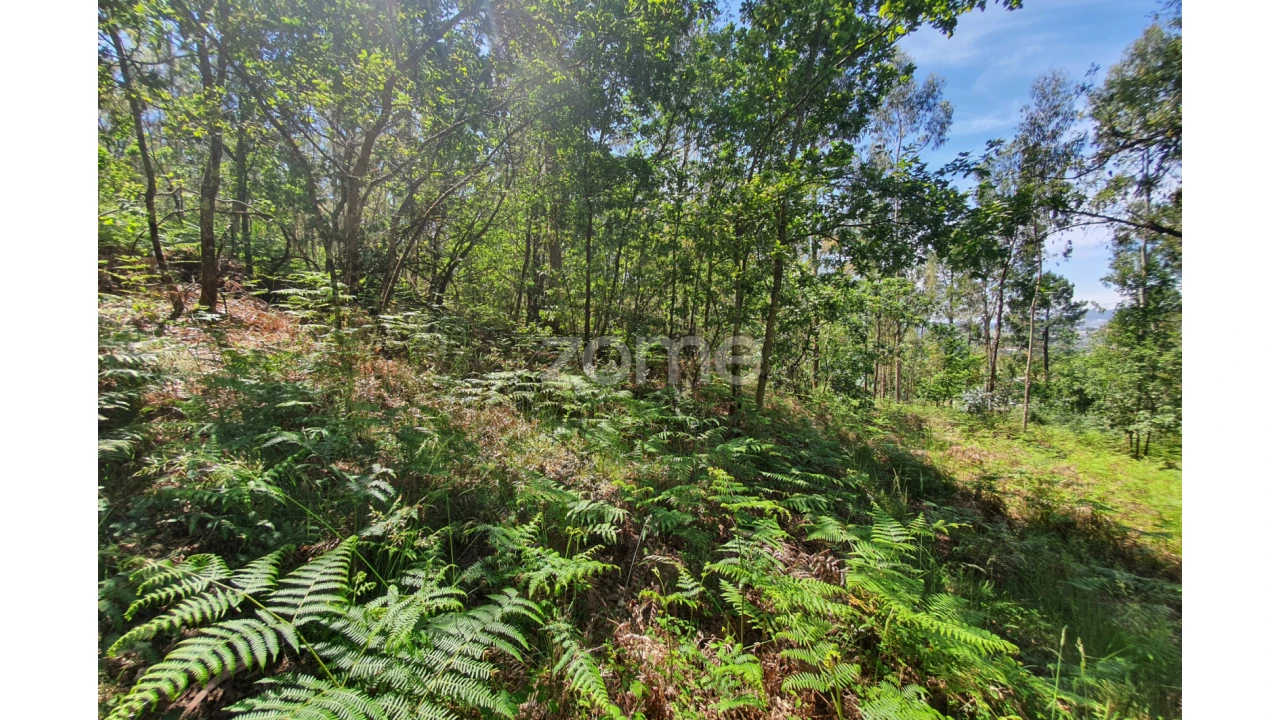 Terreno para Venda em Airo Foto 17