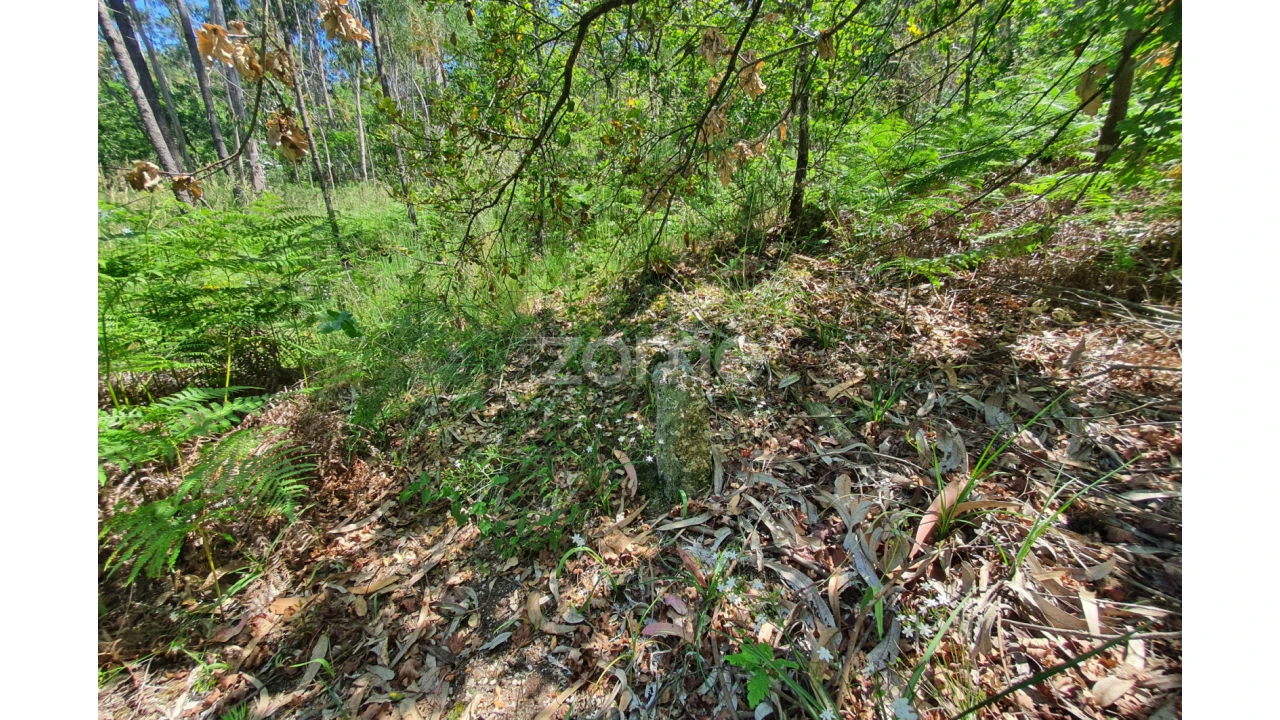 Terreno para Venda em Airo Foto 18