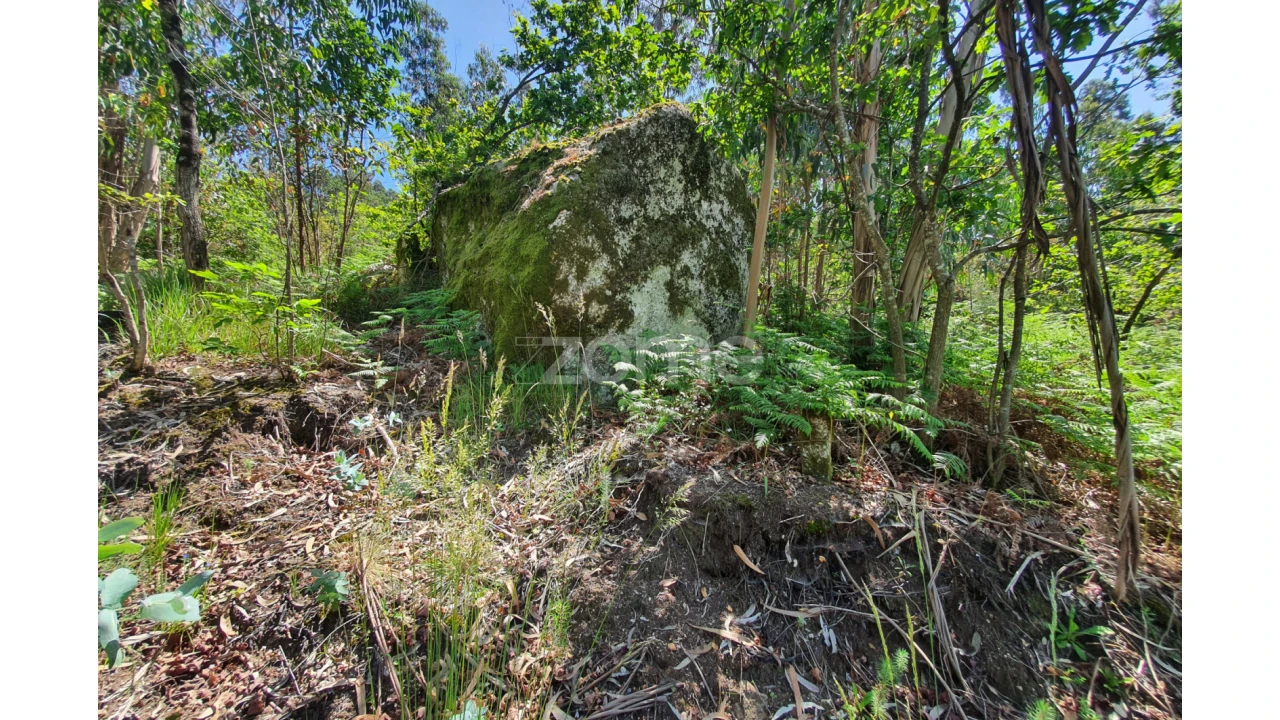 Terreno para Venda em Airo Foto 20