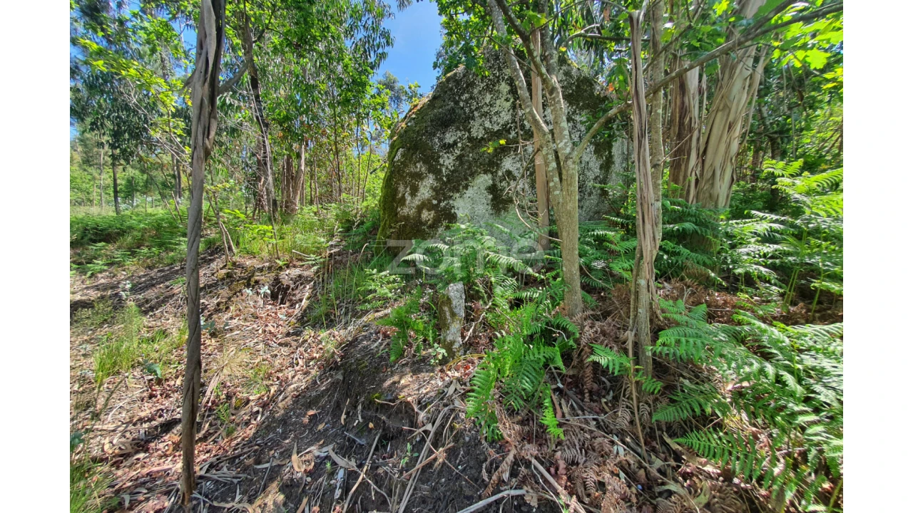 Terreno para Venda em Airo Foto 21