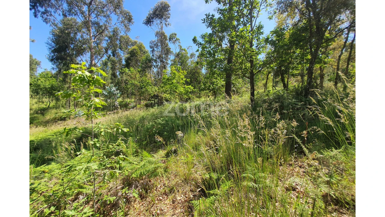Terreno para Venda em Airo Foto 22