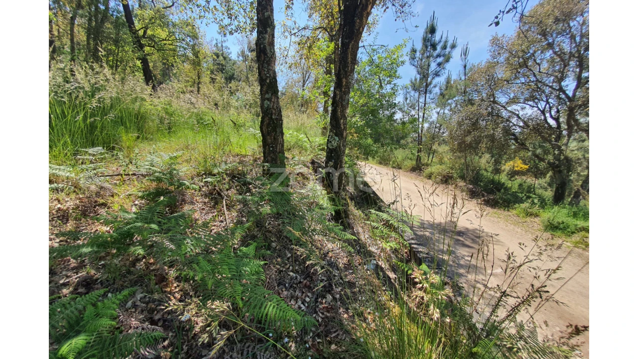 Terreno para Venda em Airo Foto 23
