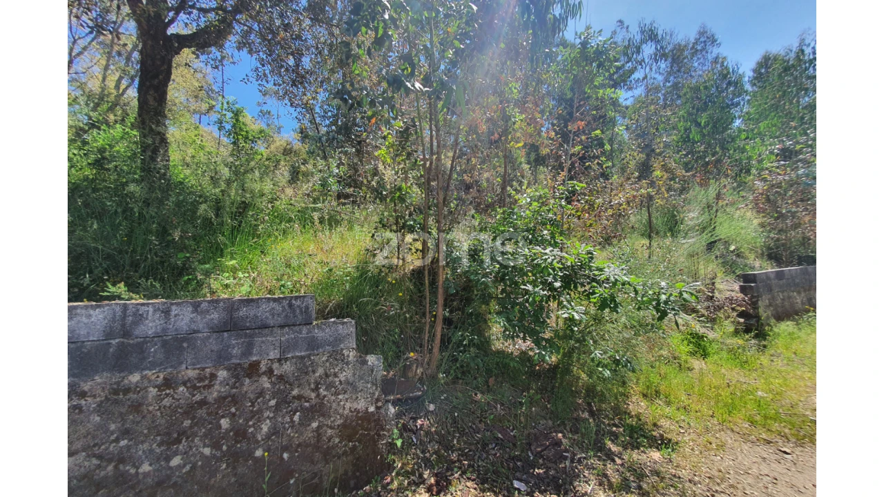 Terreno para Venda em Airo Foto 28