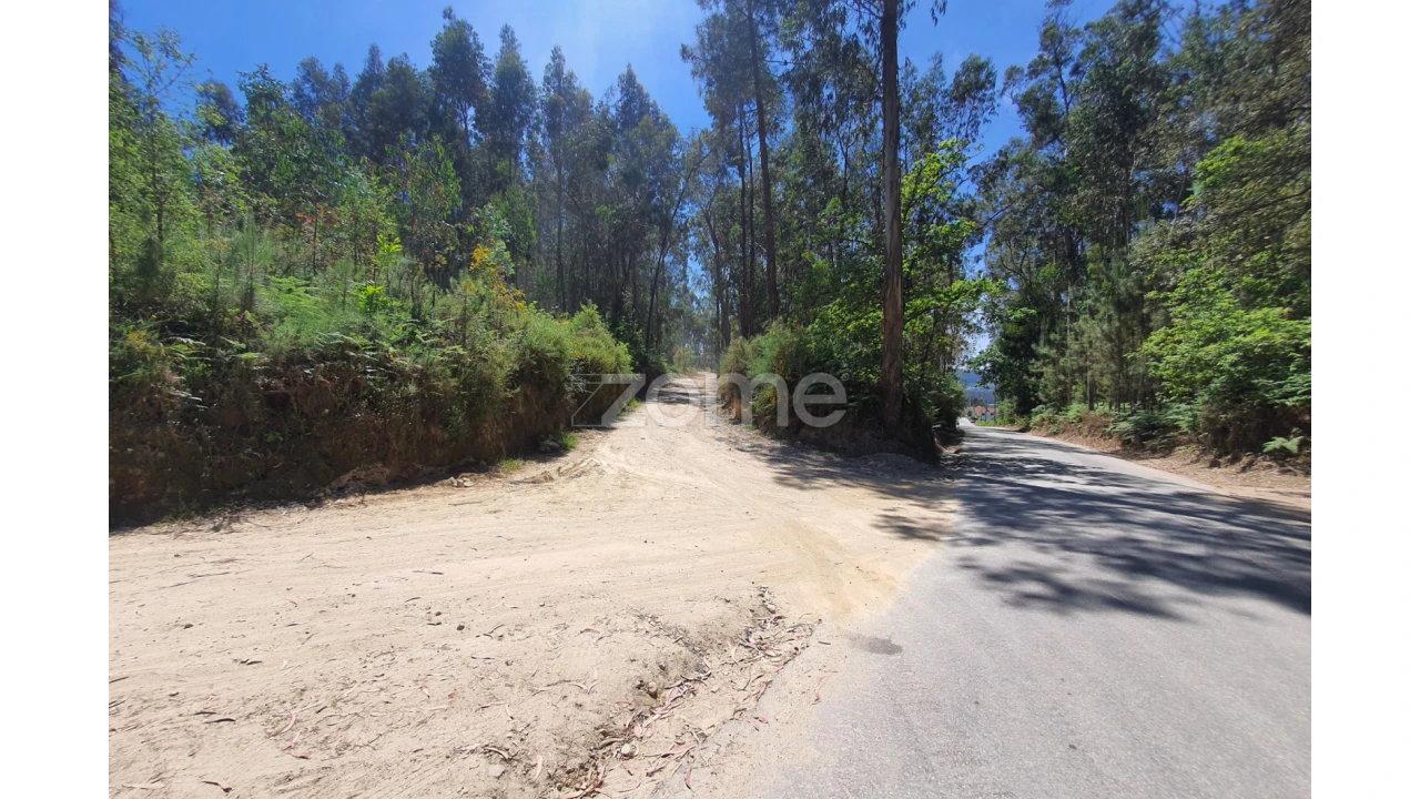Terreno para Venda em Airo Foto 35