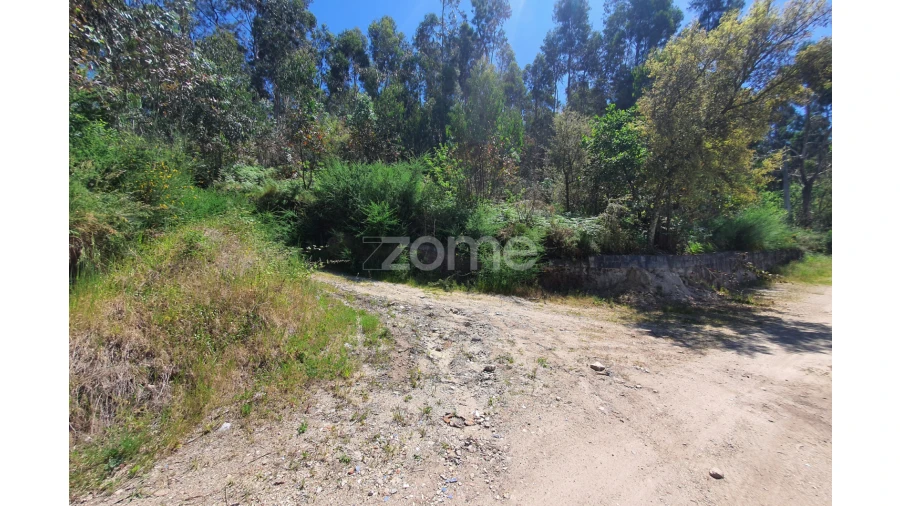 Terreno para Venda em Airo Foto 2