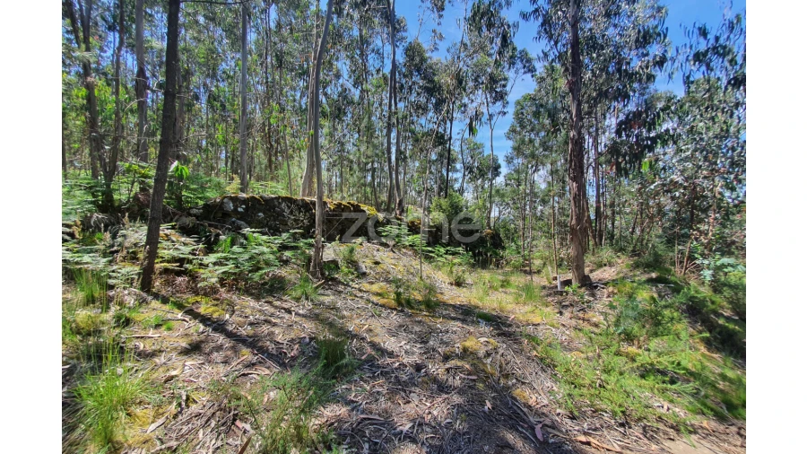 Terreno para Venda em Airo Foto 4