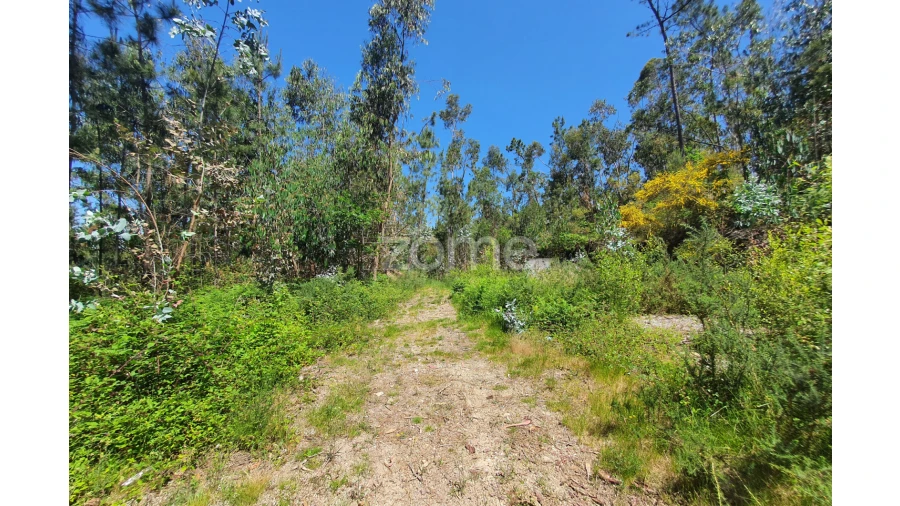 Terreno para Venda em Airo Foto 15