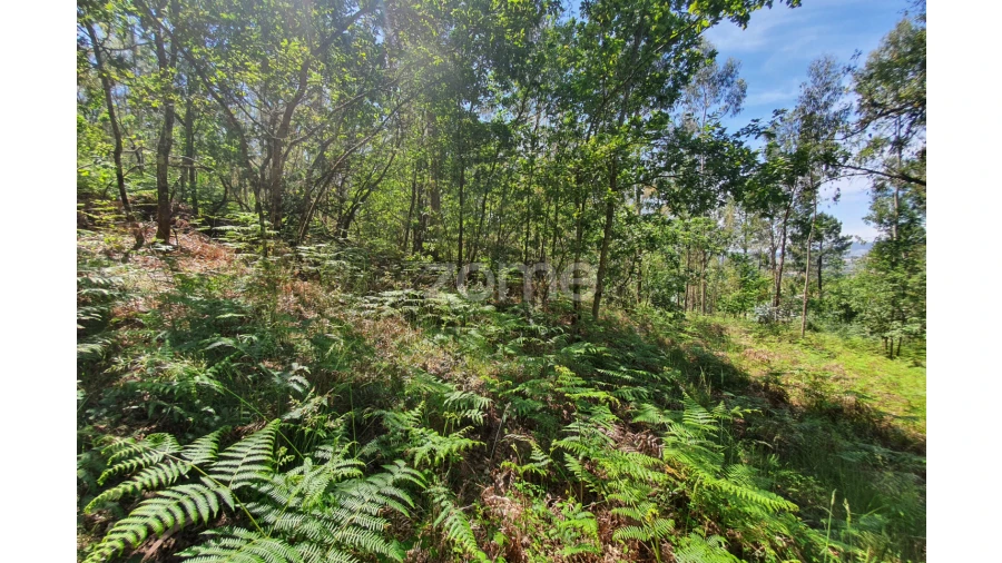 Terreno para Venda em Airo Foto 17
