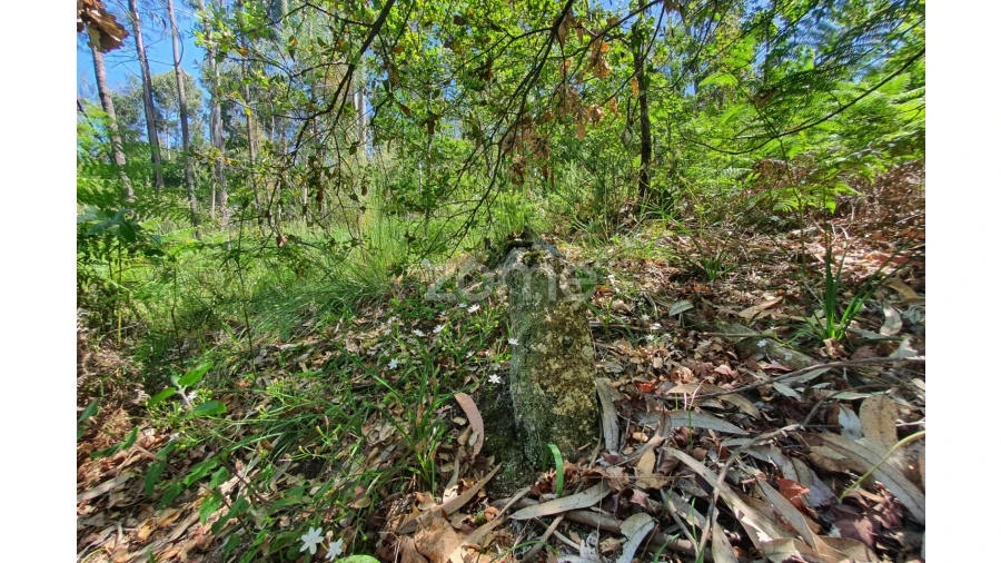Terreno para Venda em Airo Foto 19