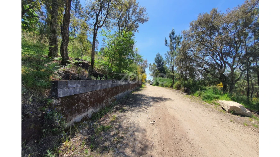 Terreno para Venda em Airo