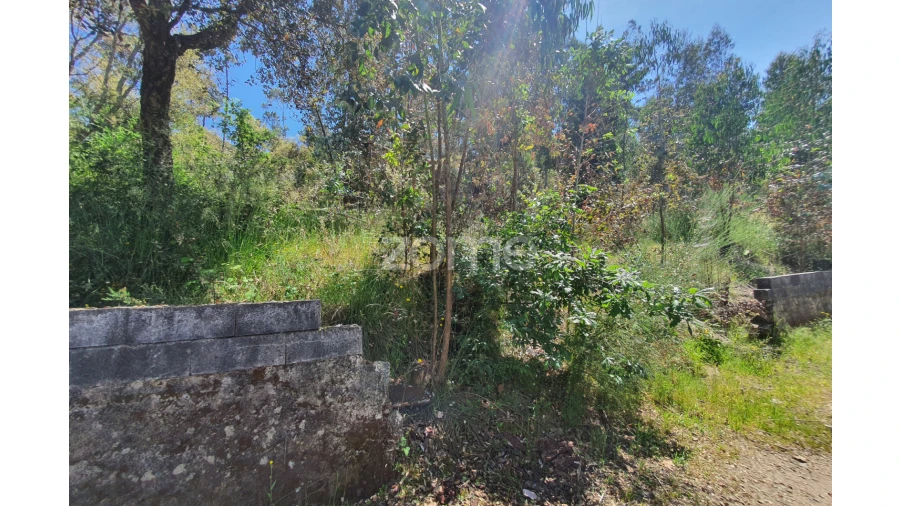 Terreno para Venda em Airo Foto 28