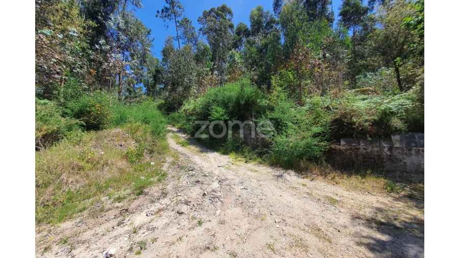 Terreno para Venda em Airo Foto 31