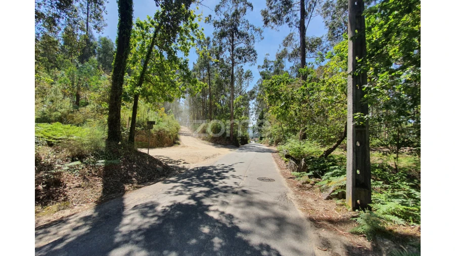 Terreno para Venda em Airo Foto 32