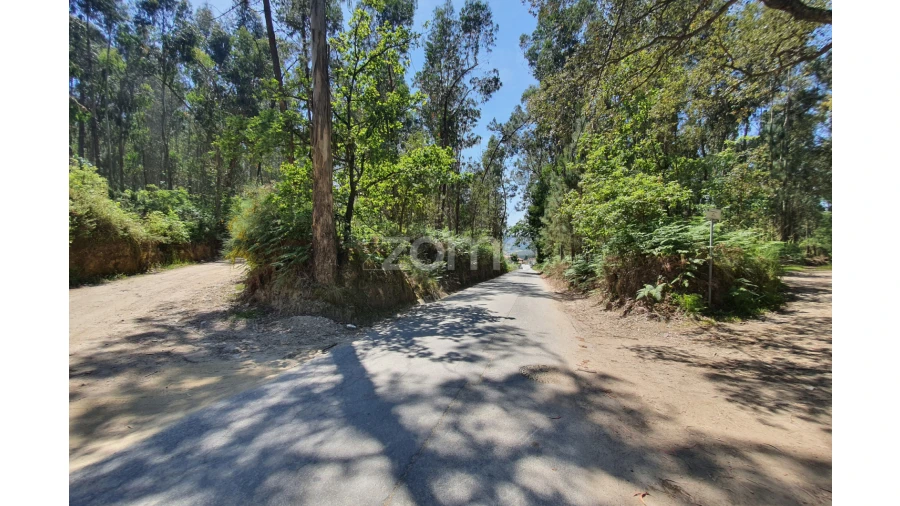 Terreno para Venda em Airo Foto 36