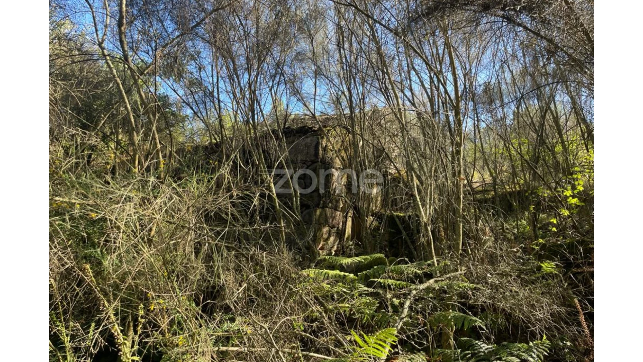 Terreno para Venda em Britelo Foto 20