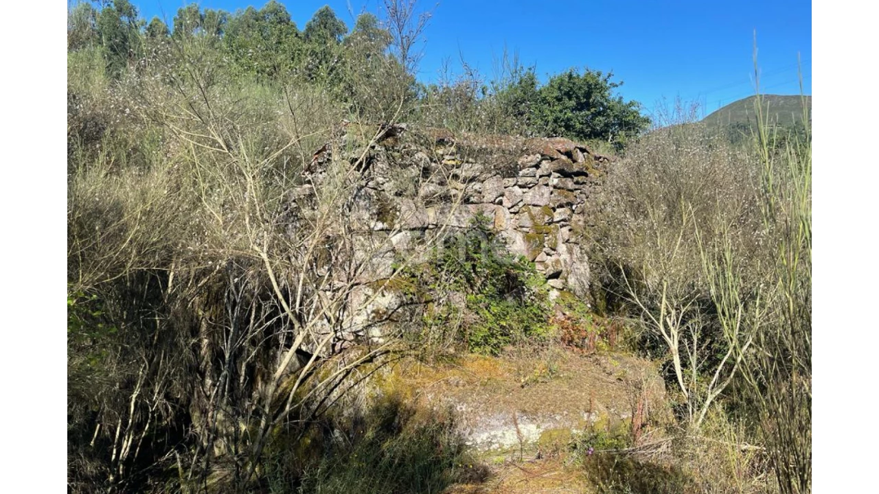 Terreno para Venda em Britelo Foto 23