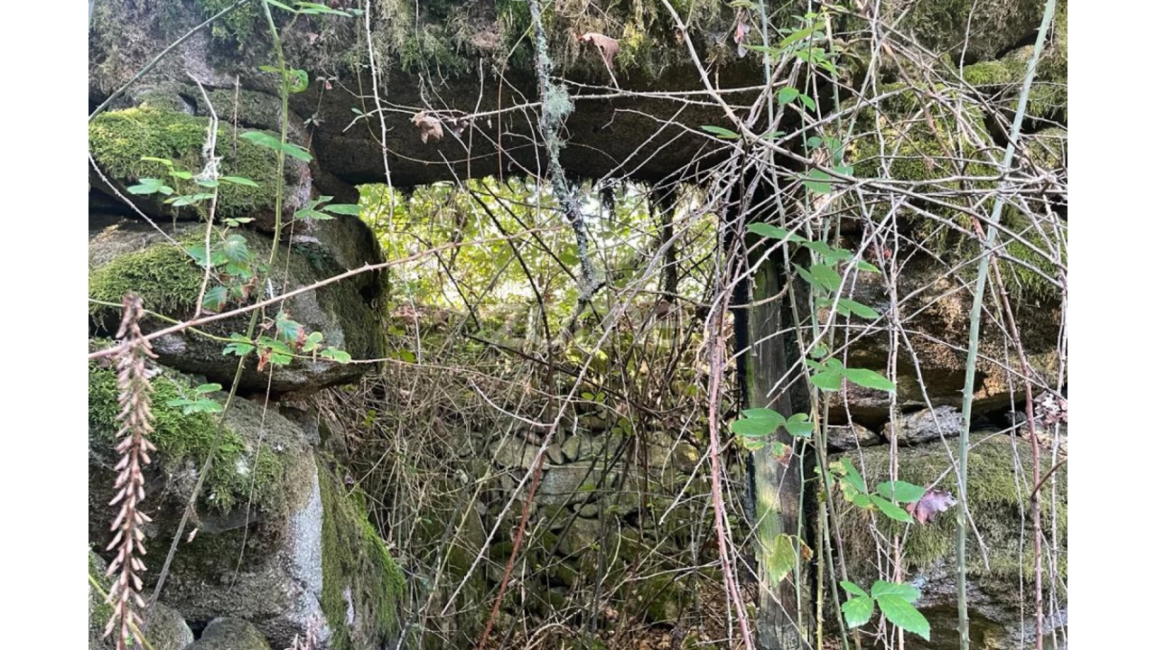 Terreno para Venda em Britelo Foto 27