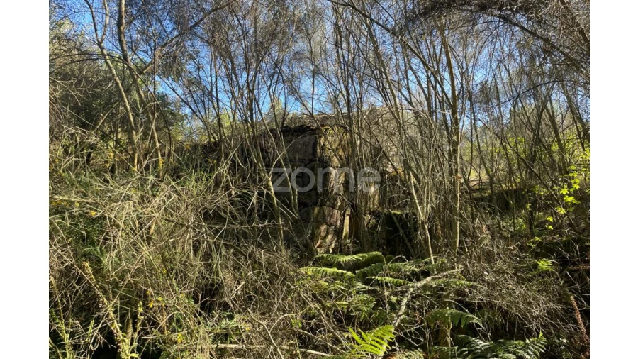 Terreno para Venda em Britelo Foto 20