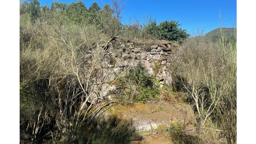 Terreno para Venda em Britelo Foto 23