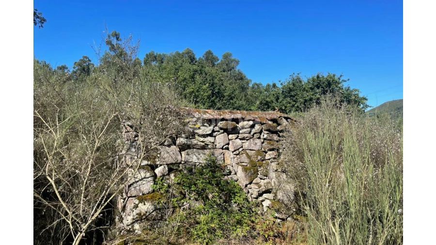 Terreno para Venda em Britelo Foto 24