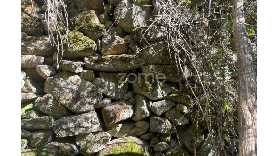 Terreno para Venda em Britelo Foto 25