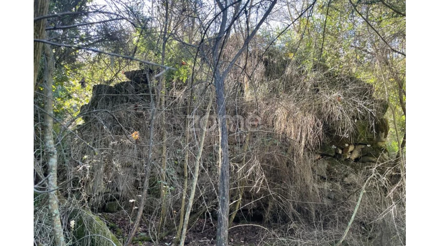 Terreno para Venda em Britelo Foto 26