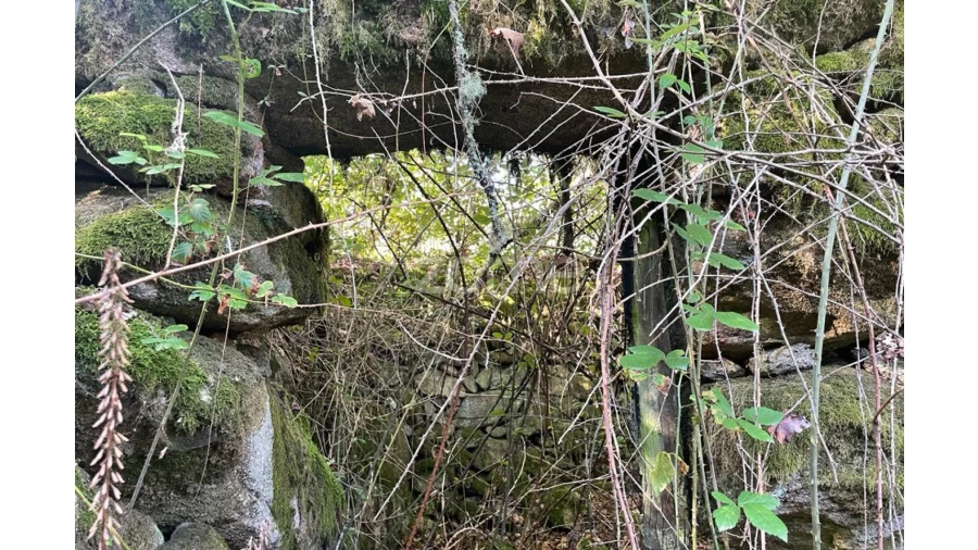 Terreno para Venda em Britelo Foto 27