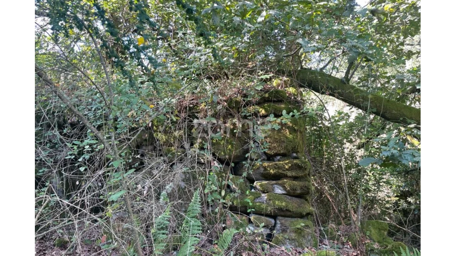 Terreno para Venda em Britelo Foto 28