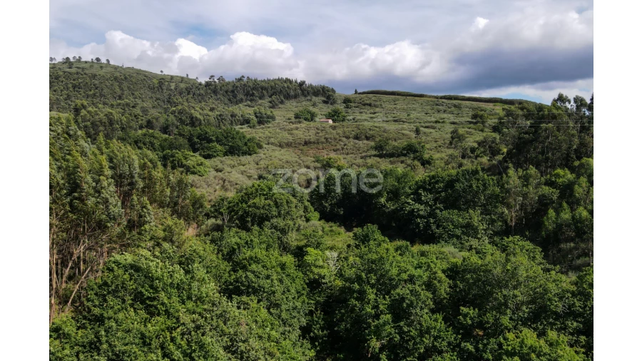 Terreno para Venda em Britelo Foto 12