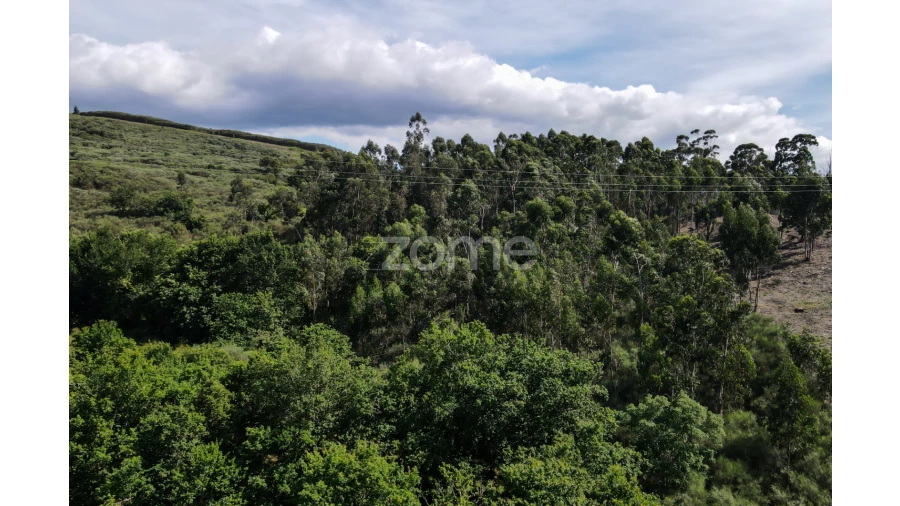 Terreno para Venda em Britelo Foto 13