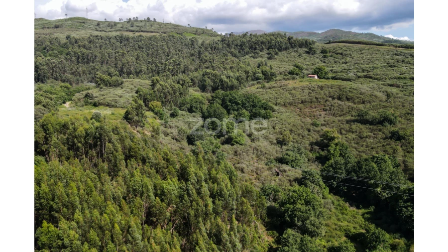 Terreno para Venda em Britelo Foto 18