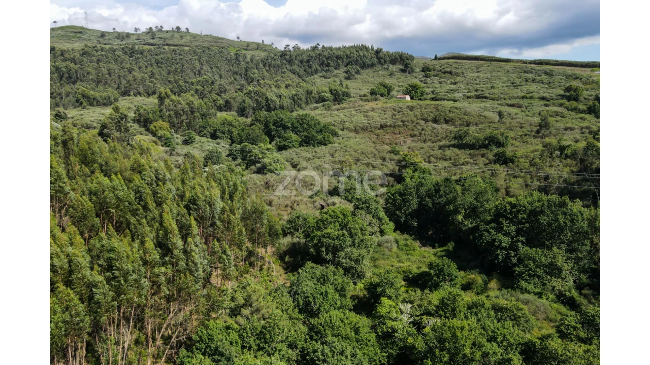 Terreno para Venda em Britelo Foto 14