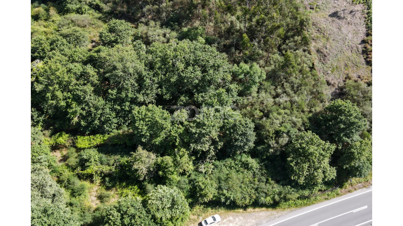 Terreno para Venda em Britelo Foto 15