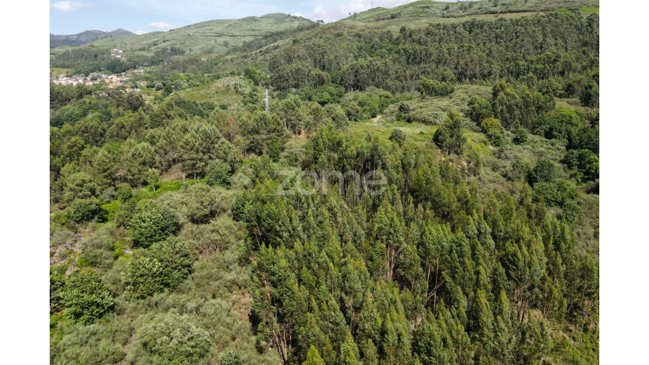 Terreno para Venda em Britelo Foto 17