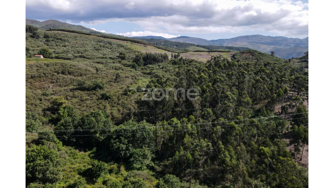 Terreno para Venda em Britelo Foto 19